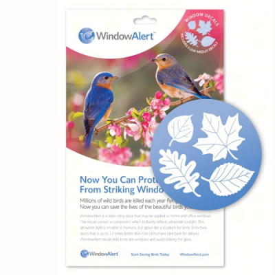 WindowAlert &reg;  Butterfly Decals 4pk