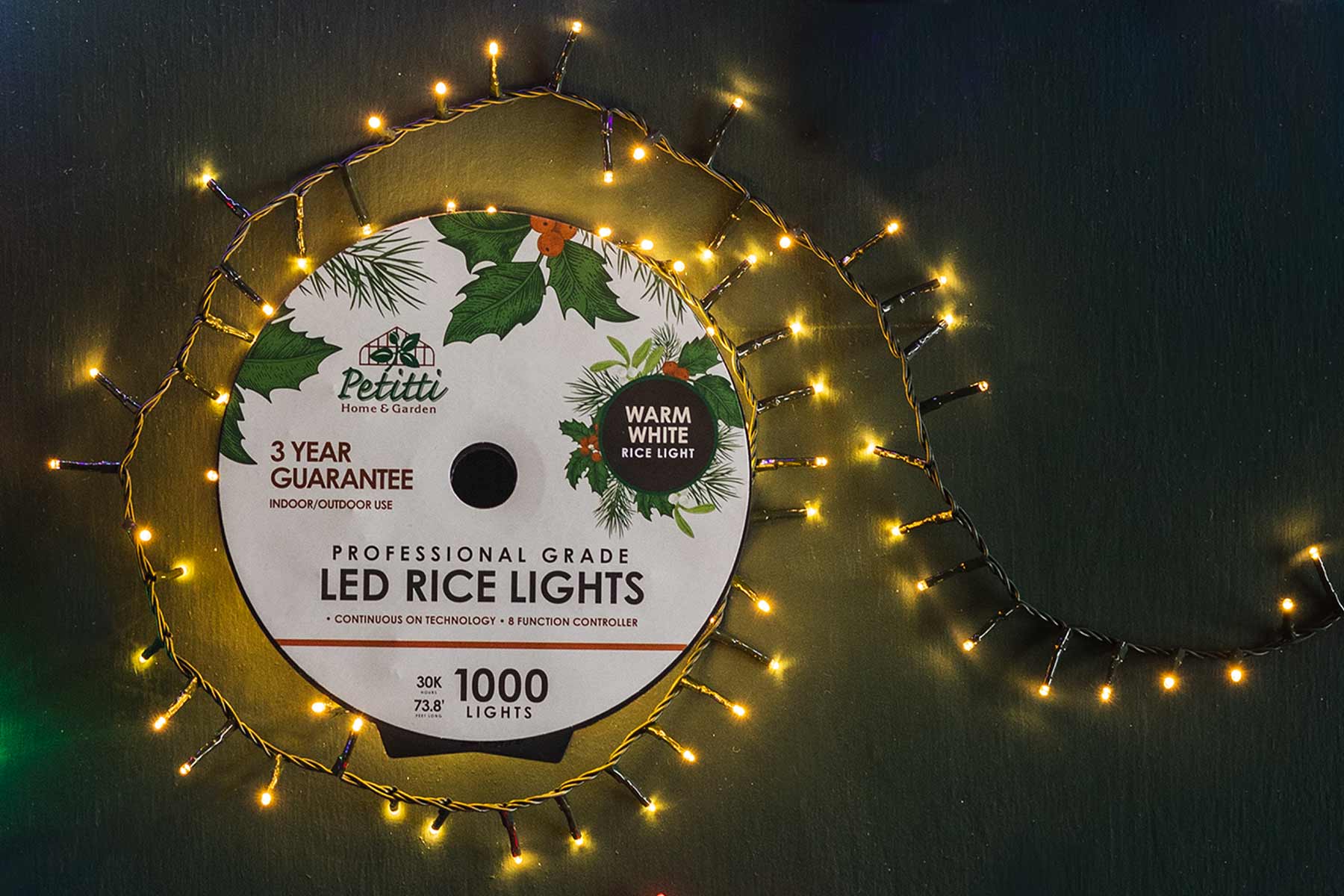 Rice Lights