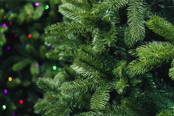 Premium Green Noble Fir Tree 7.5' Unlit