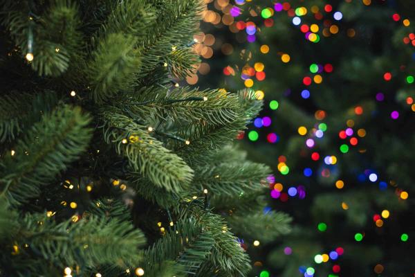 Premium Green Noble Fir Cosmic Lights&reg; Tree 6.5'