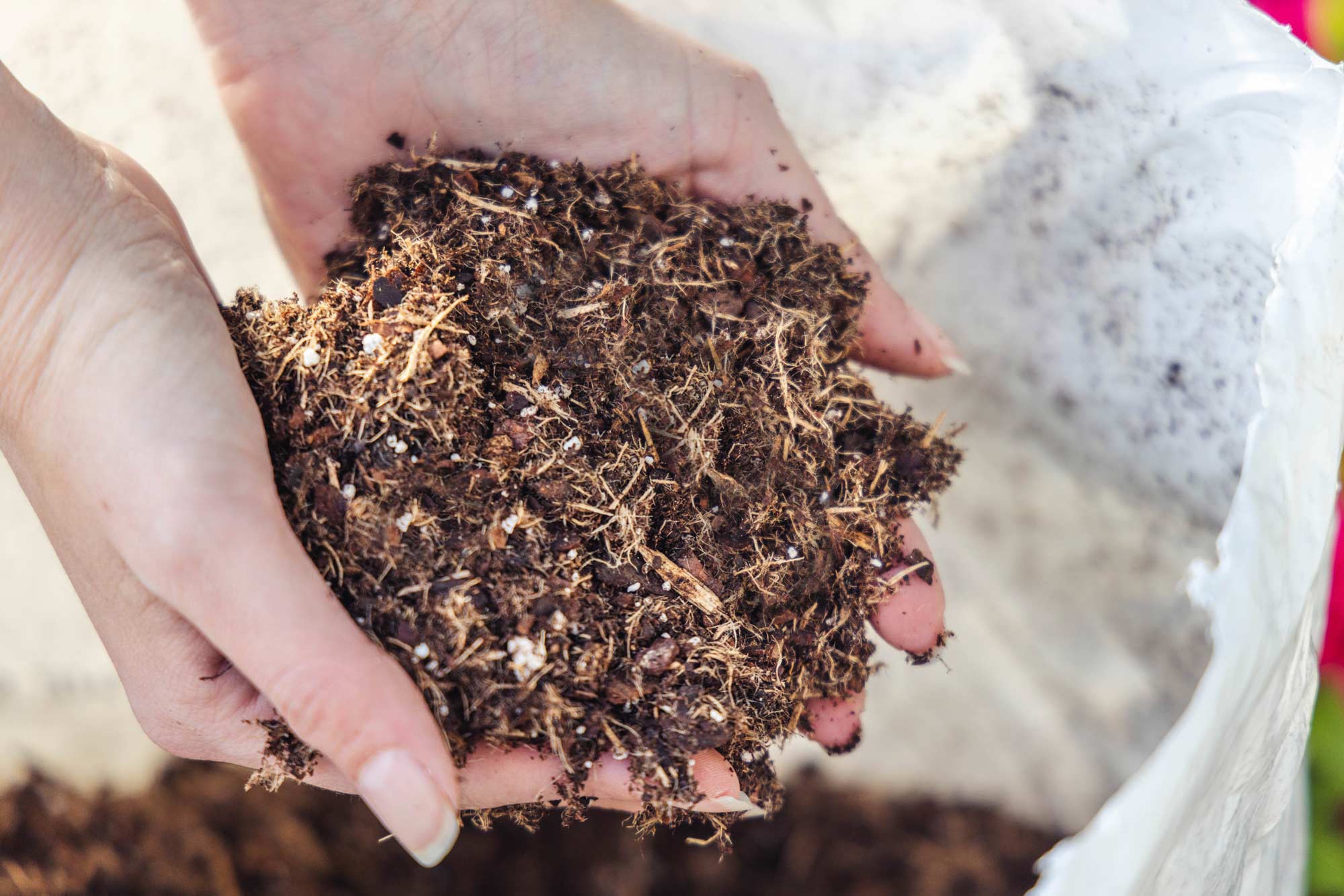 Potting Mixes