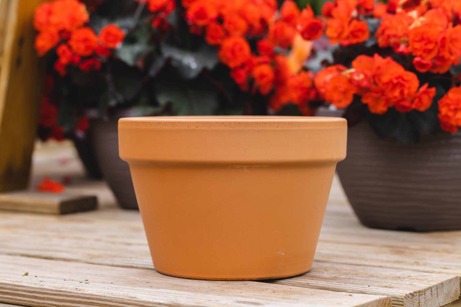 25cm Orange Azalea Pot