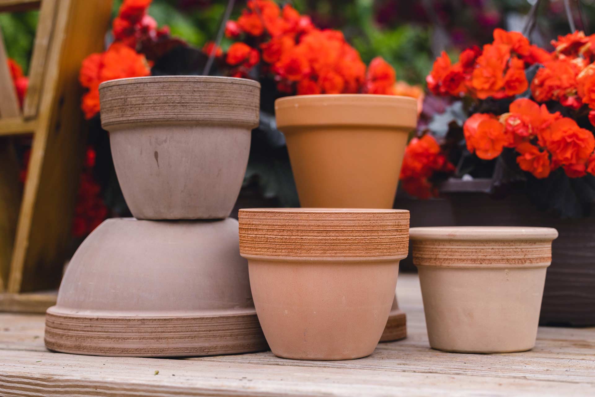 Terracotta Pots