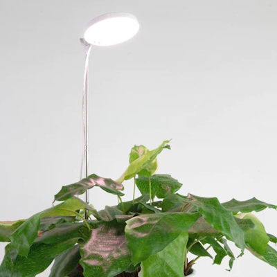 Adjustable Indoor LED Plant Light White