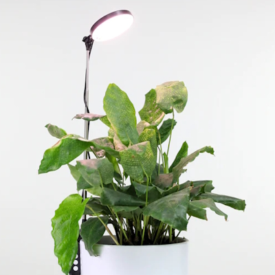 Adjustable Indoor LED Plant Light Black