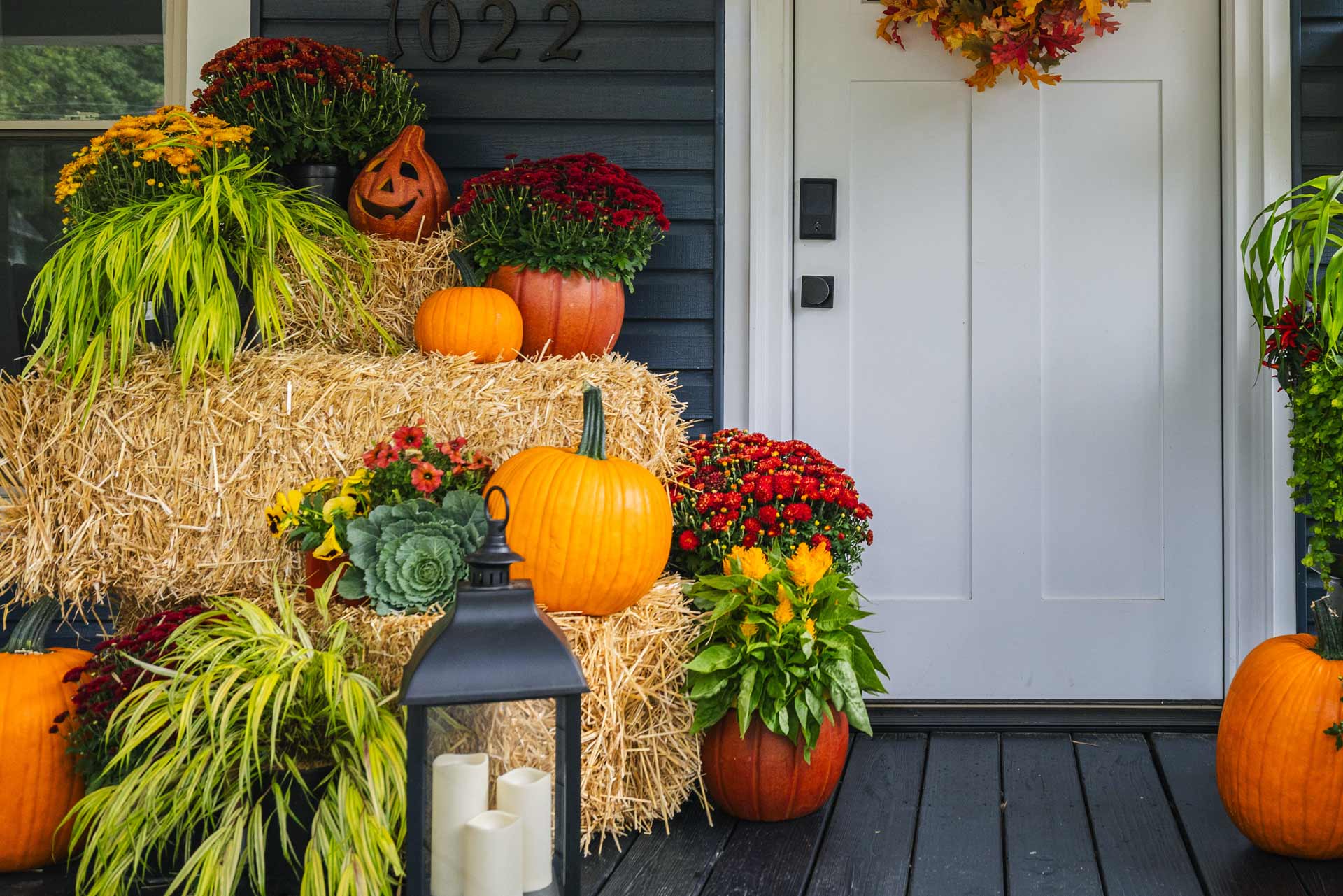 Fall Plants and Décor