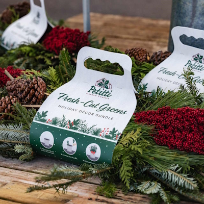 Fresh-Cut Greens Decor Bundle