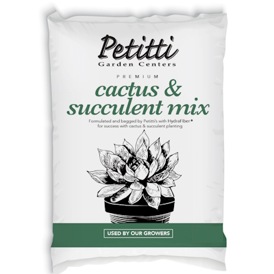 Petitti Cactus & Succulent Mix 4qt