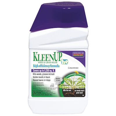 KleenUp&reg; HE 16oz concentrate