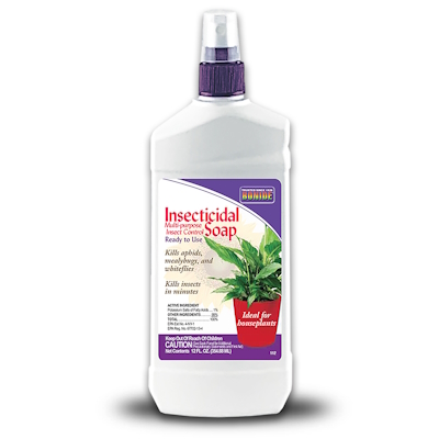 Insecticidal Soap 12oz RTU