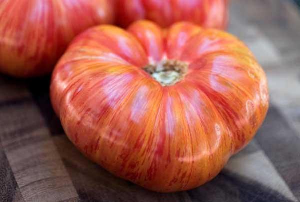 Tomato 'Mortgage Lifter' 1 Gallon