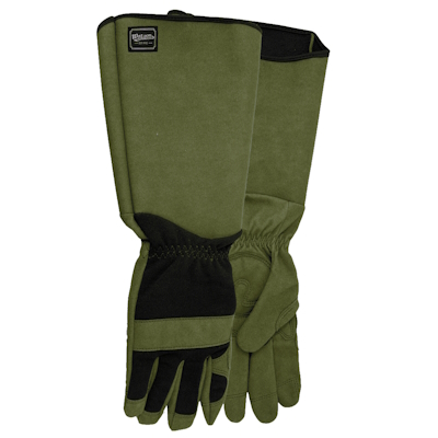 Game of Thorns Men's size