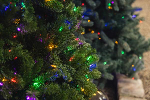 Premium Green Noble Fir Dual Color&reg; Tree 6.5'