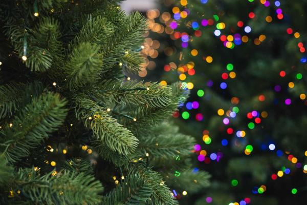 Premium Green Noble Fir Starlights&reg; Tree 9'