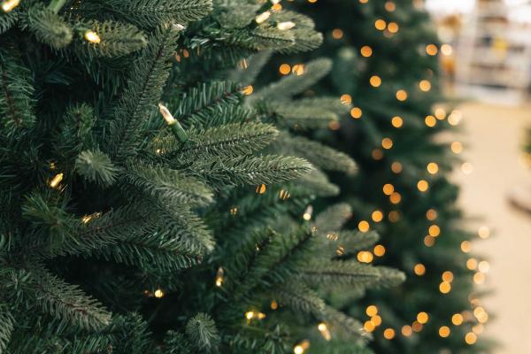 Premium Traditional Dual Color&reg; Tree 6.5'