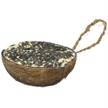 Half Coconut with Suet