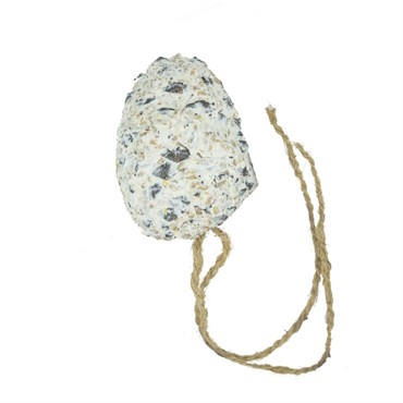 Suet Coated Pinecone