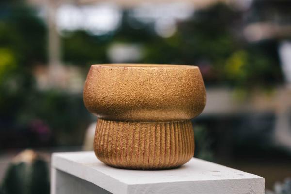 6" Gold Pedestal Cache Pot