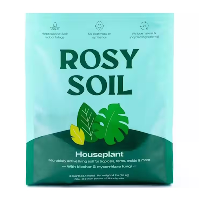 Houseplant Soil 4qt