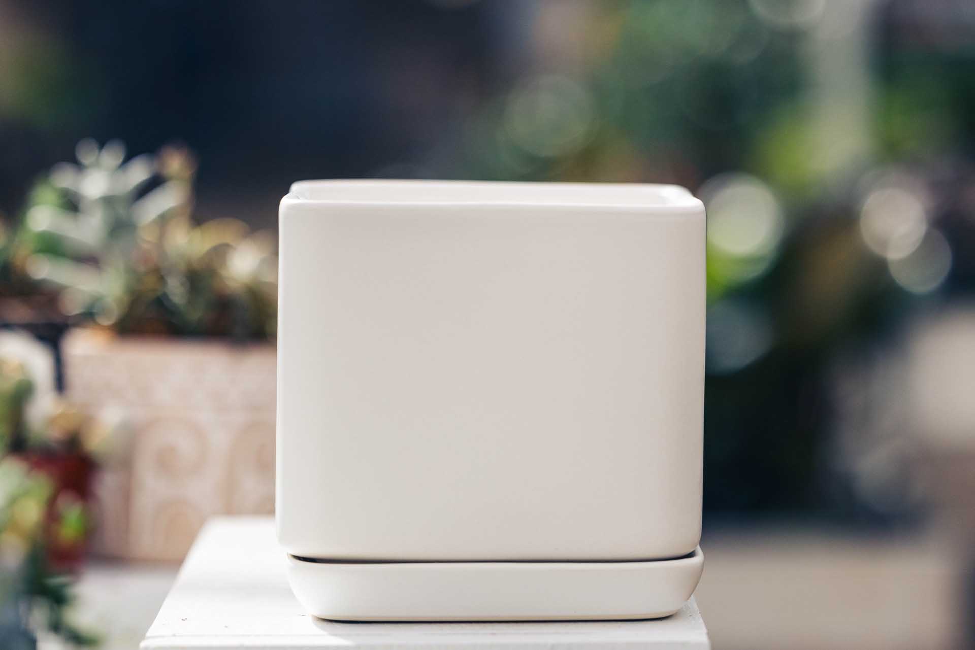 5" White Sylvie Planter with Attached Saucer