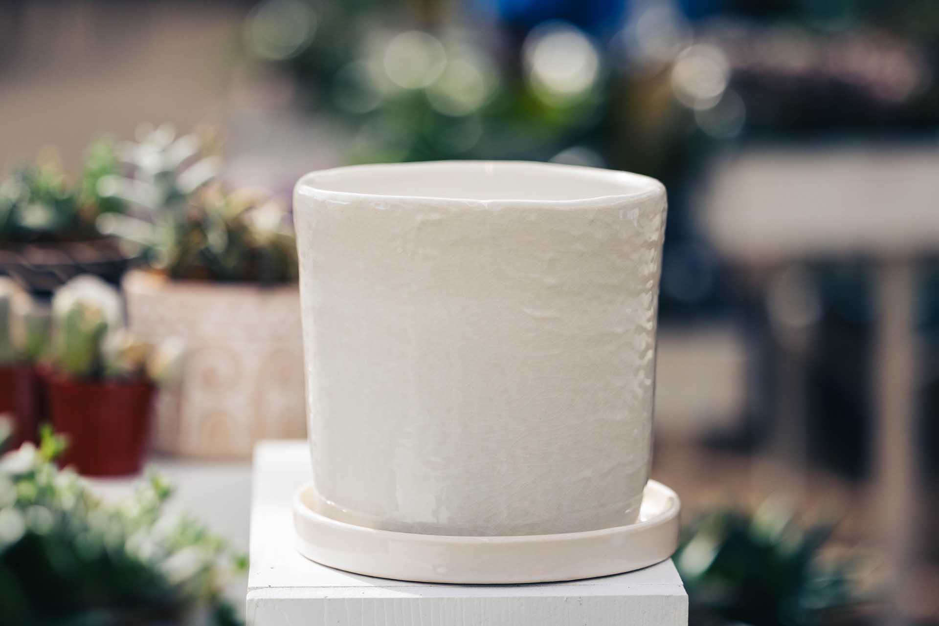 6" White Brandon Planter