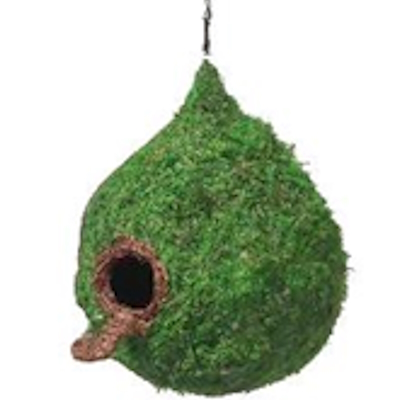 Droplet Bird House