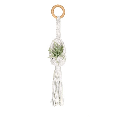 Macram&eacute; Mini Airplant Holder