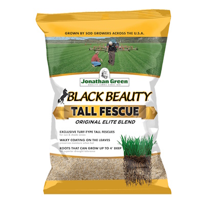 Black Beauty Tall Fescue Grass Seed 3lb