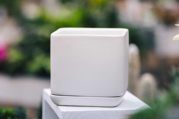 5" White Sylvie Planter with Attached Saucer