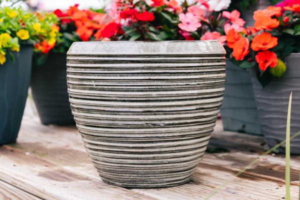 14" White Round Scratch Egg Pot