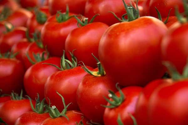Tomato 'Husky 'Cherry Red' 3.5"