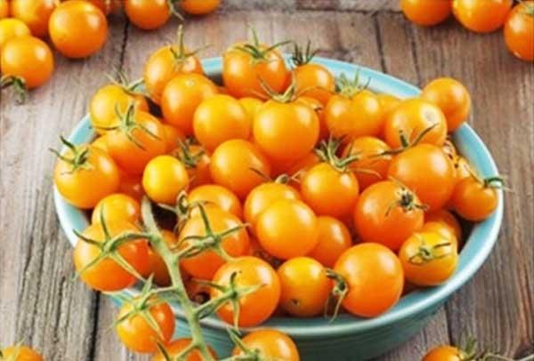 Cherry Tomato 'Sunsugar' 3.5"